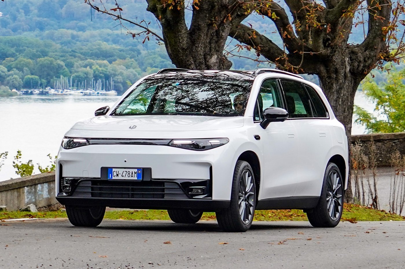 Laadkabel Leapmotor C10