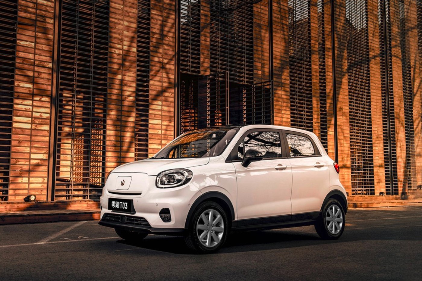 Laadkabel Leapmotor TO3