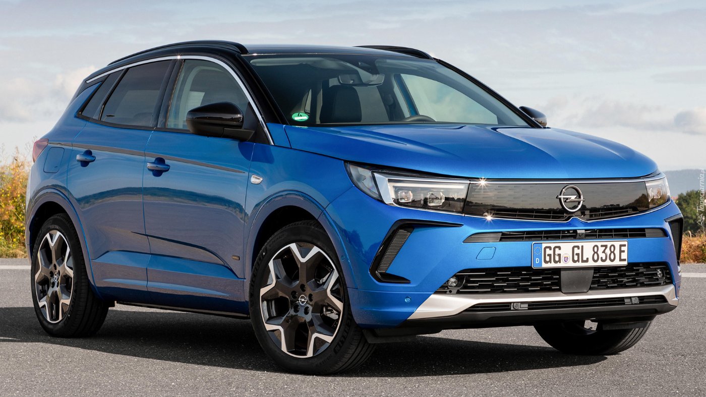 Laadkabel Opel Grandland 1 fase 16A