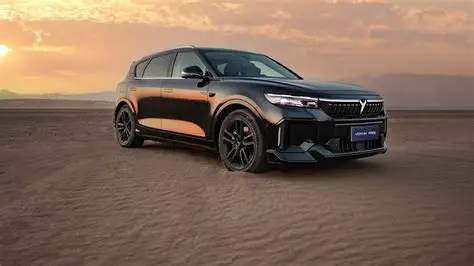 Laadkabel Voyah Free