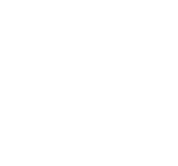 the hustle standard