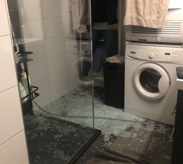 Ik gilde als een mager speenvarken terwijl spetterend glas mijn huid perforeerde