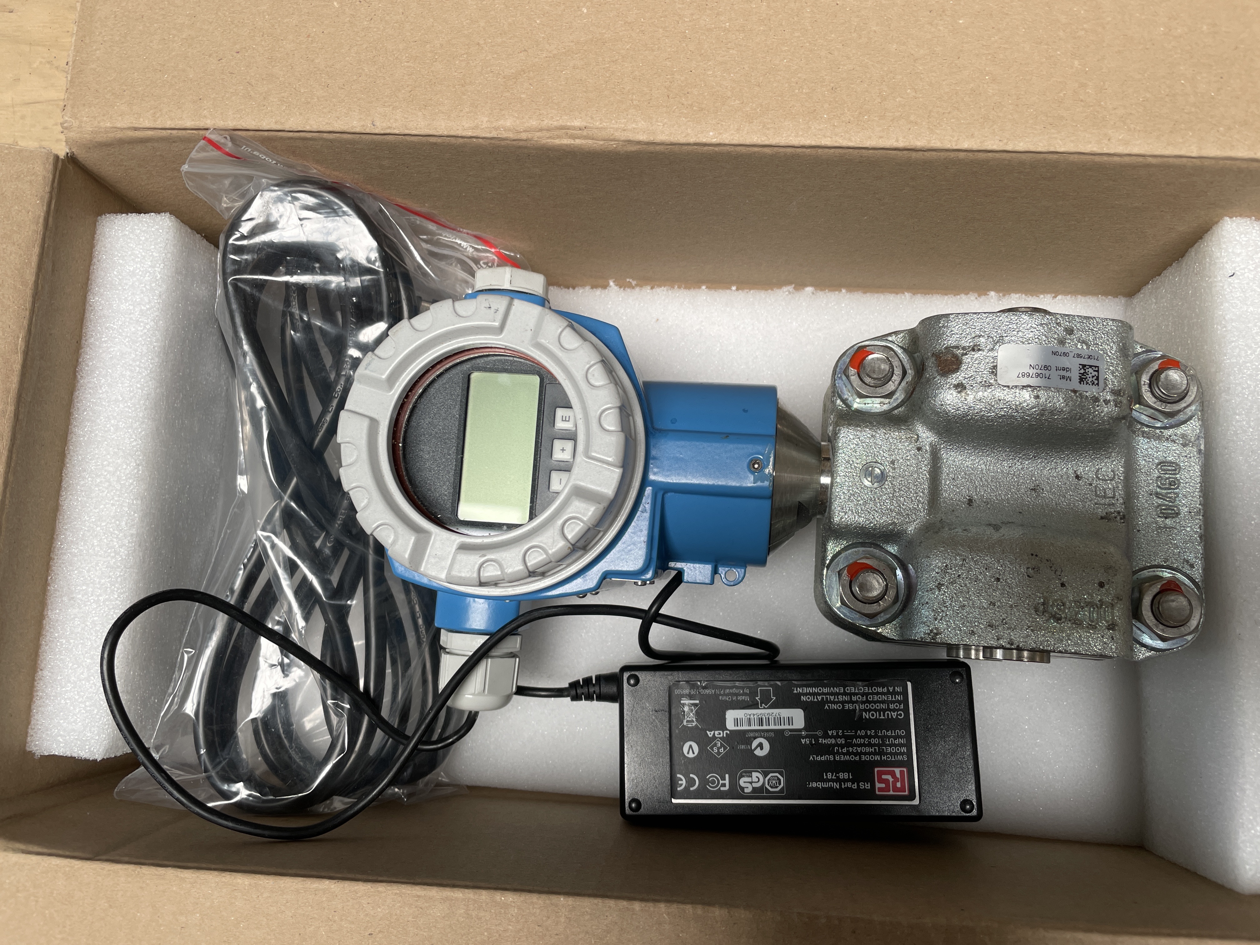 Endress+Hauser Deltabar S PMD70