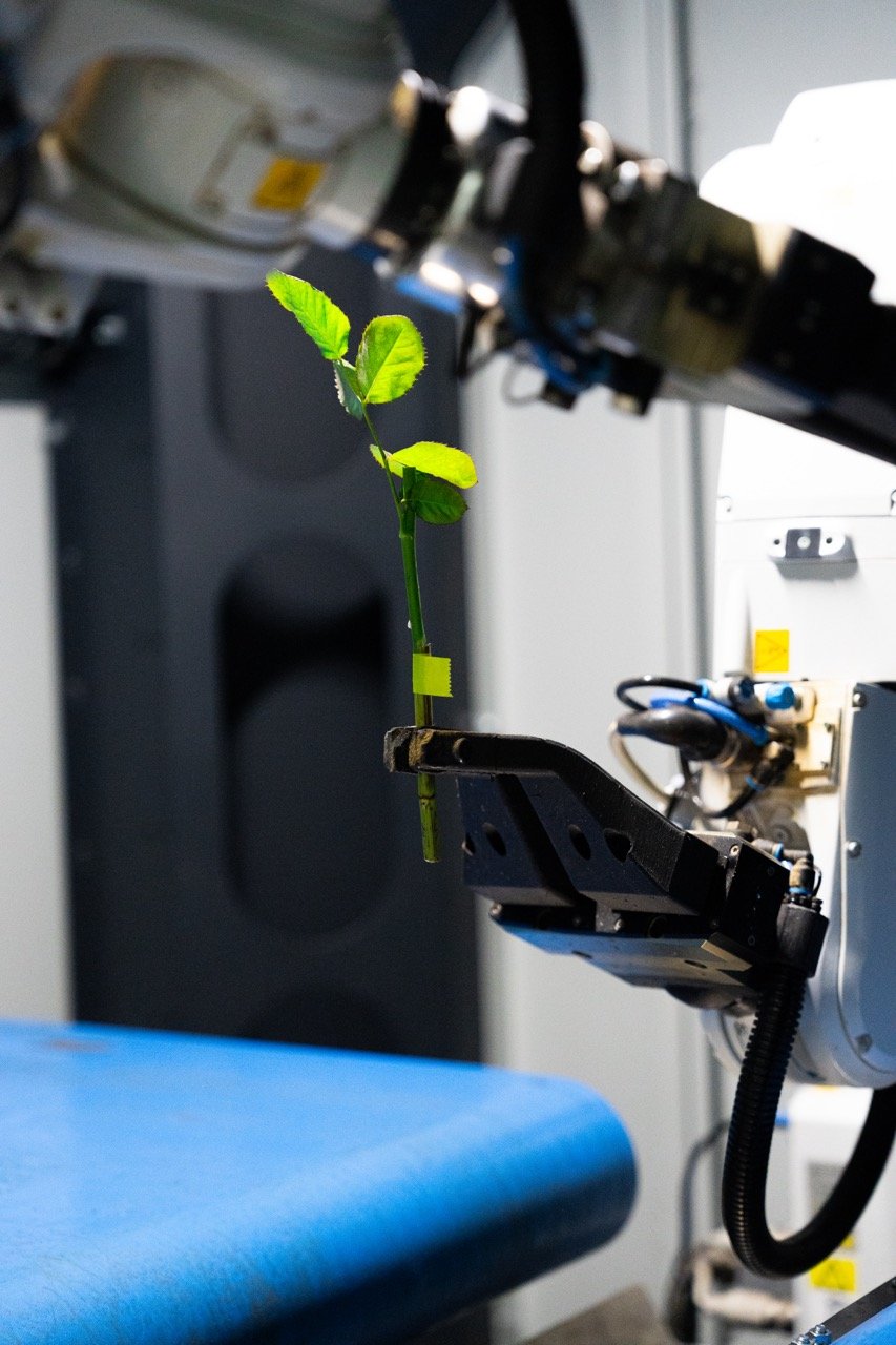 Grafting robot - Horti Robotics